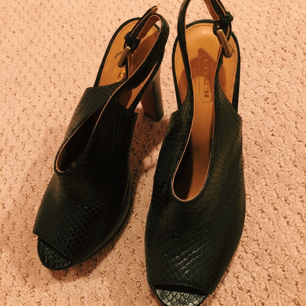 Black and Tan Coach Heels